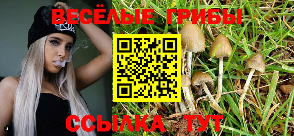 Псилоцибиновые грибы Magic Shrooms Киров