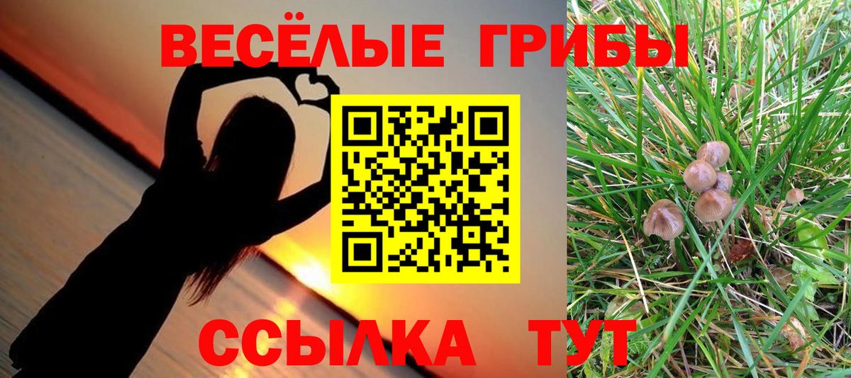 Киров  Галлюциногенные грибы MAGIC MUSHROOMS  Вход с VPN  Галлюциногенные грибы Psilocybe 